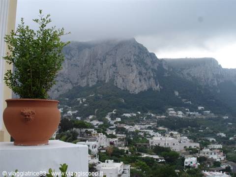 Capri *