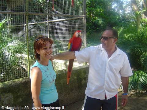 Smiling couple with red macaw perched on arm, green cages behind