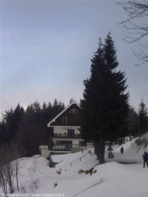Wooden and plaster chalet among firs, snow along the road, people walking