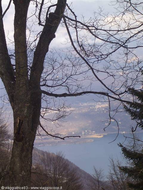Bare tree branches frame the lake and the village on the shore
