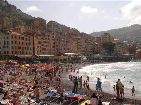 Crowded Camogli beach, swimmers and umbrellas in front of colorful houses