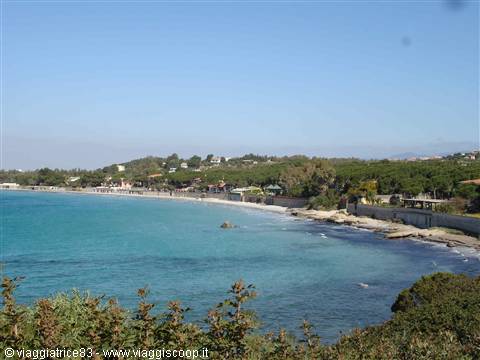 White sand beach with turquoise sea, pine trees and houses under blue sky
