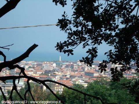 Town with red roofs and lighthouse toward the sea, framed by branches