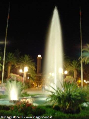 Illuminated fountain at night among palm trees, tower in background