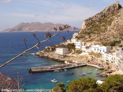 Cala dogana 