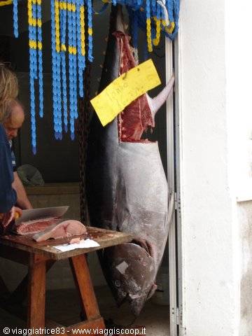 Huge tuna hanging at the fish market, fisherman cutting slices