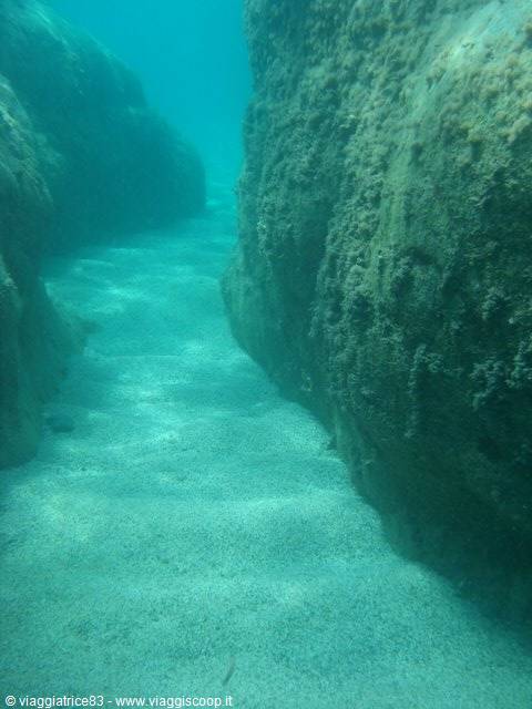 seabed..