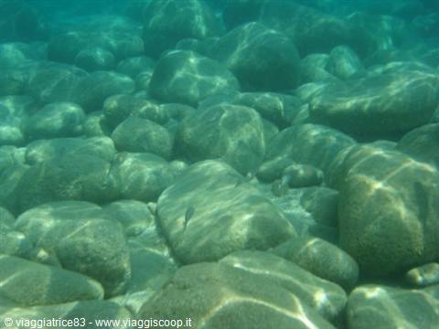 Smooth stones on the seabed, sunlight filtering through turquoise-green water