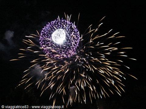 Purple and golden fireworks exploding in the night sky