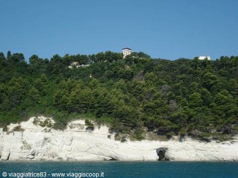 White limestone cliff above the sea, dense pine forest, tower on top