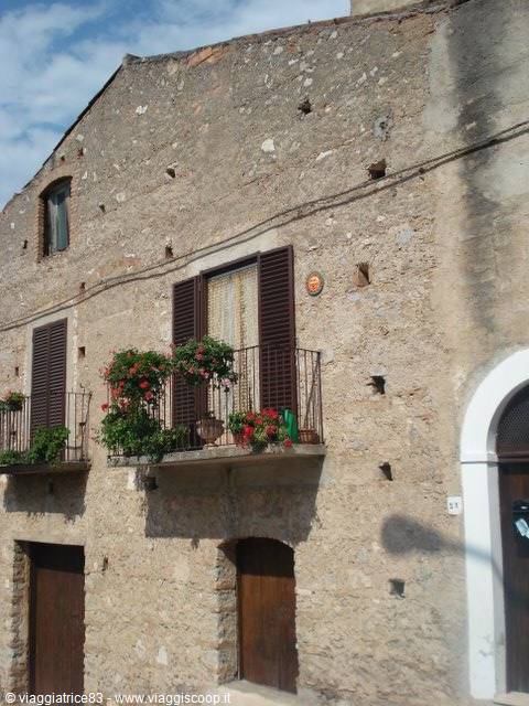 Stone facade with iron balconies and red geraniums