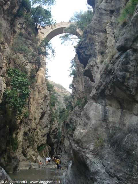 Devil's Bridge 