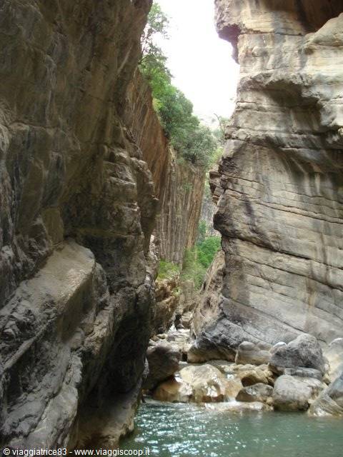 Gorges 