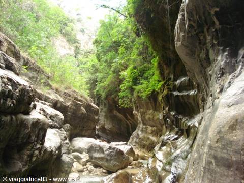 Rocky gorge with boulders and lush greenery, stream between wet walls