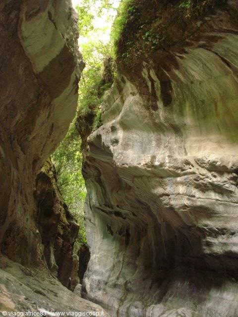 Water-carved limestone walls in a narrow gorge, green vegetation above