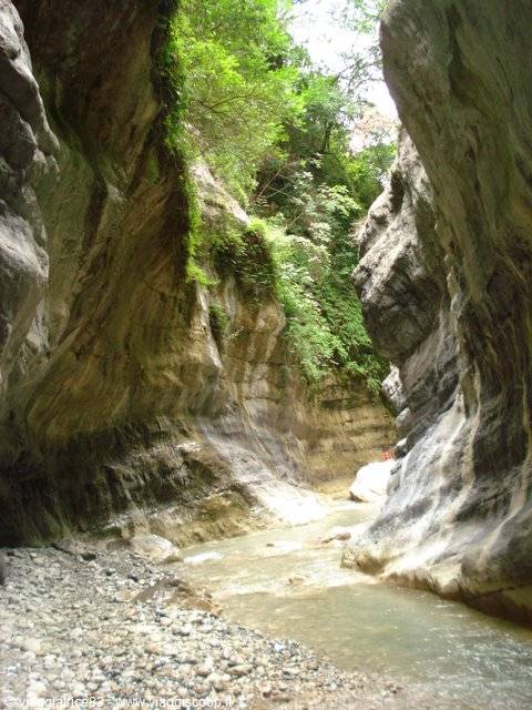 Stream between smooth mossy rock walls, pebbles and green trees above