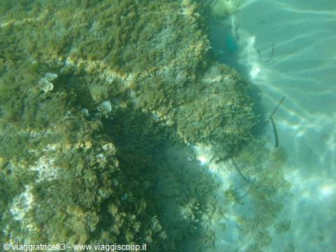 underwater seabeds .. 