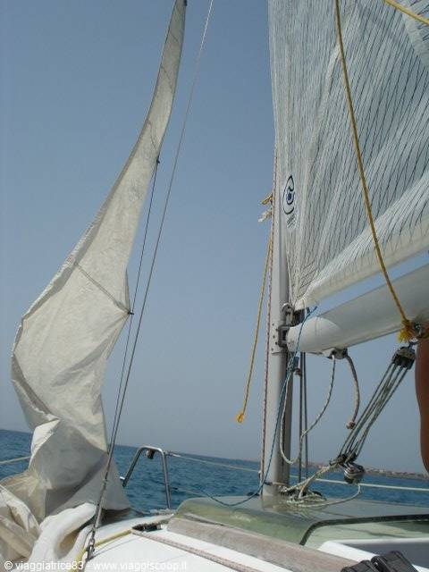 White sails full of wind on a sailboat, blue sea and clear sky