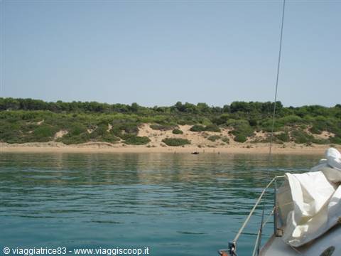 Furled sail on boat approaching sandy beach lined with green dunes