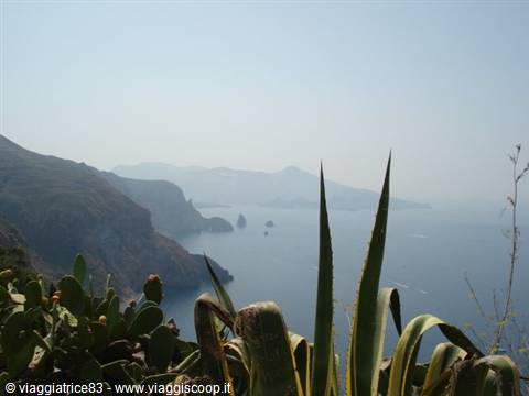 Cacti and agave plants on a slope, cliffs and islets in hazy sea beyond