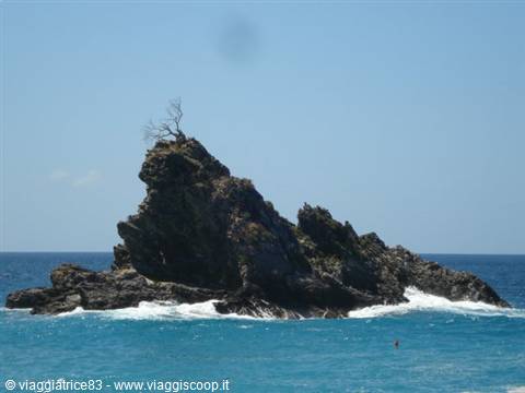 the olive tree rock
