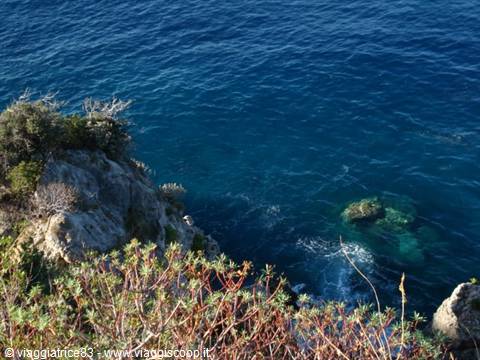 Intense blue sea of Scilla