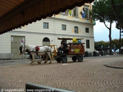 White horse pulling tourist cart on cobblestones, flag-decorated building behind