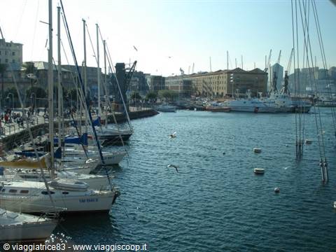Sailboats moored at Genoa's Porto Antico, buildings and cranes in the background