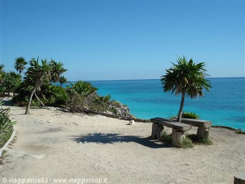 Stone bench on white rocky shore, palm trees and turquoise Caribbean sea under blue sky