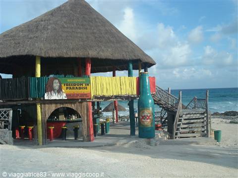 Paradise Café - Bob Marlin Bar-