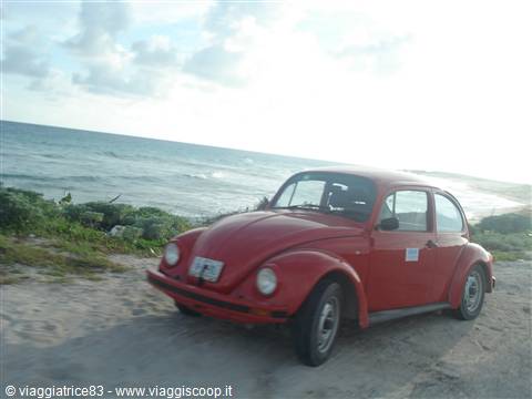 Red Volkswagen Beetle parked on the sand in front of the sea
