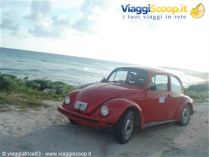 Red Volkswagen Beetle parked on the sand in front of the sea