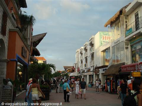 the Quinta Avenida