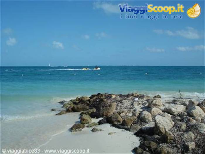 playa langosta