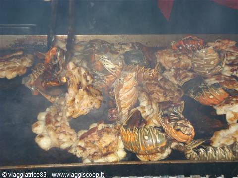 Lobsters after the show