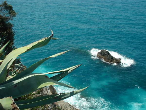 gaze on the sea...