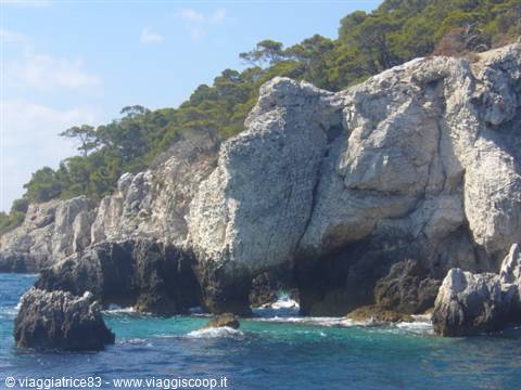 Elephant rock