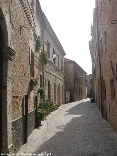 Cobbled alley between brick houses, flowers on the walls