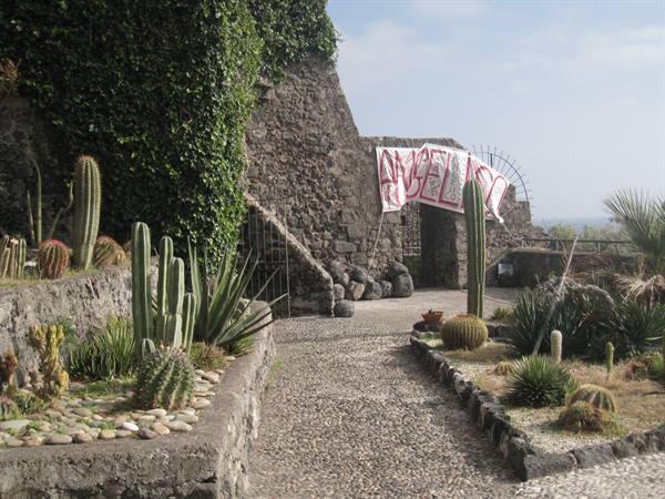 Botanical Garden