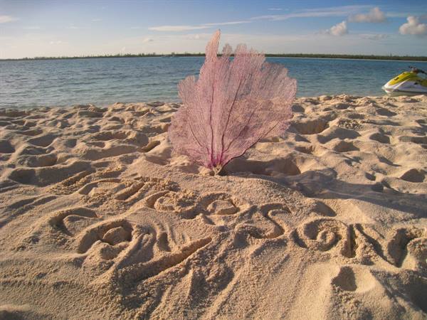 Peterson Cay