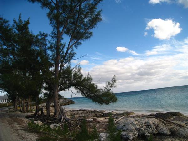 Fortuna  Beach