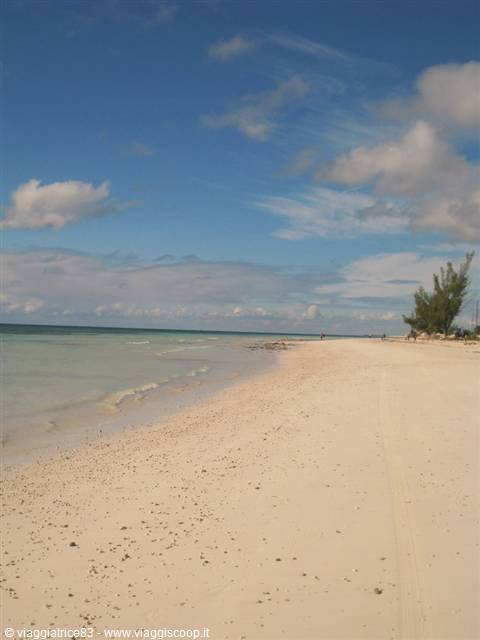 Island Seas resort beach