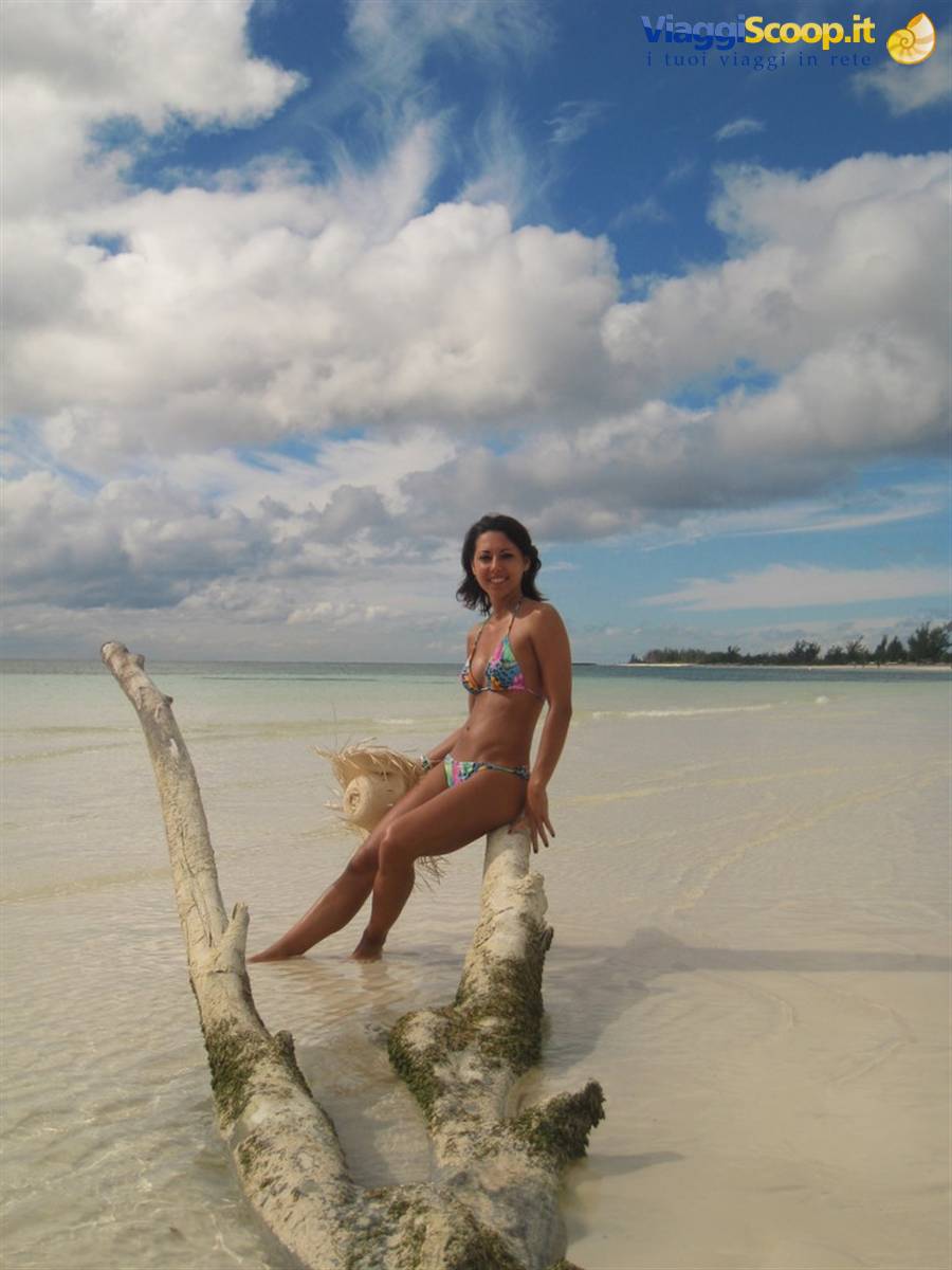 Woman in bikini leaning on driftwood in shallow tropical beach waters