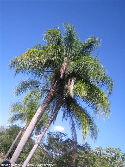 what a blue sky!!