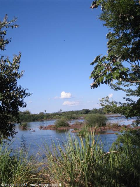 Iguazú river with reddish rocks among reeds and trees, blue sky