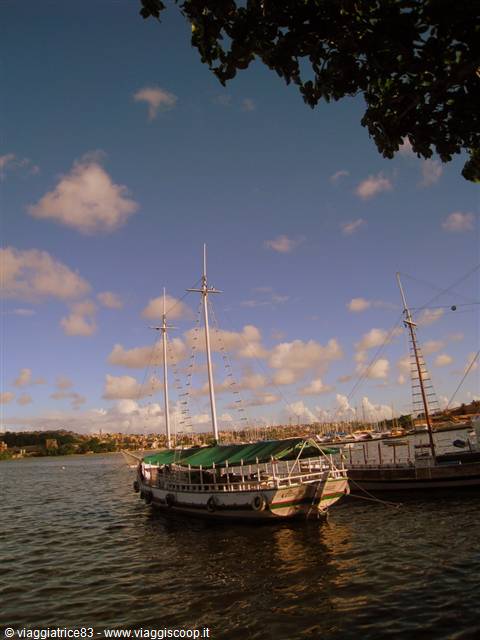 Wooden schooner with green canopy moored in Salvador de Bahia harbor