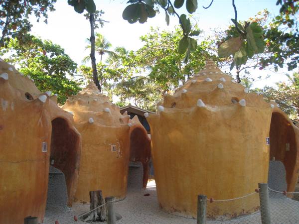 Shell-shaped toilet