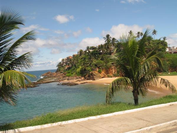 Palms by a rocky beach, houses on the green hill, blue cloudy sky