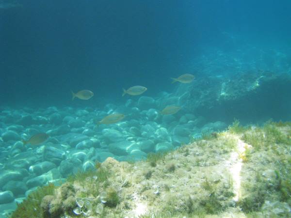 Transparent seabeds at San Vito