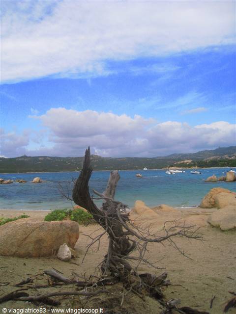Vistas in Capriccioli